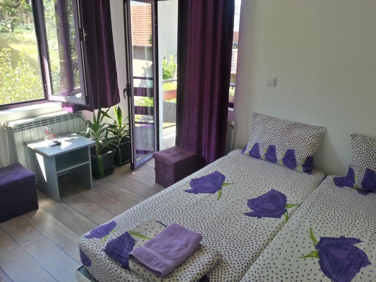 Guest House Bedrock Belogradchik Extérieur photo