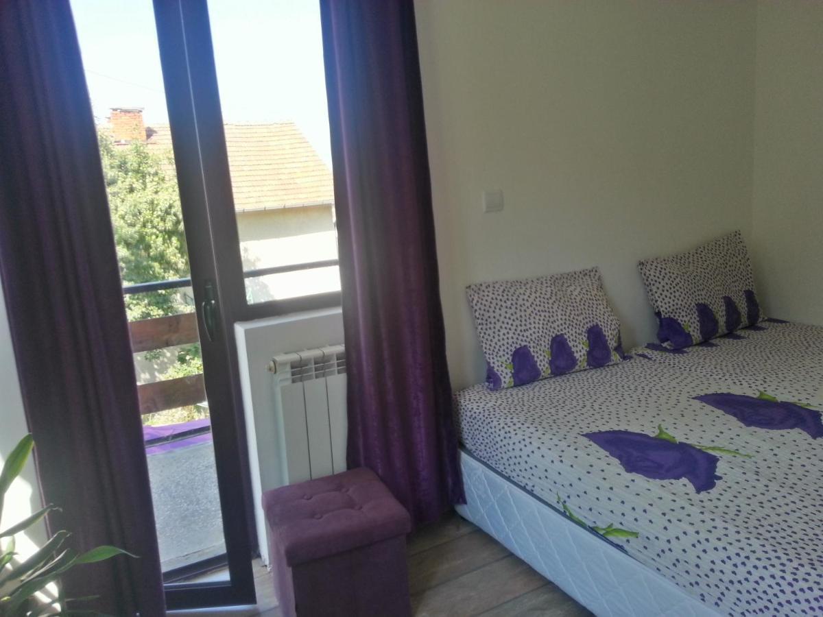 Guest House Bedrock Belogradchik Extérieur photo